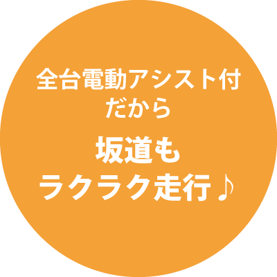 全台電動アシスト付だから坂道もラクラク走行