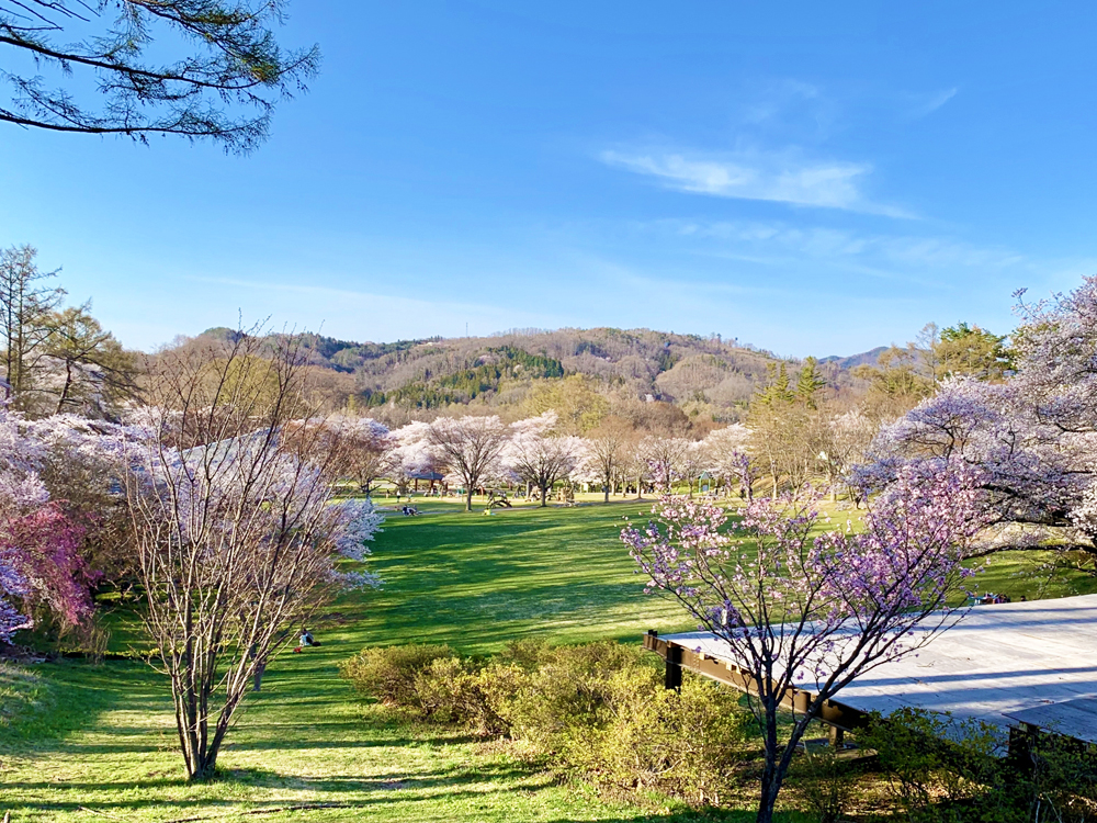 アルプス公園