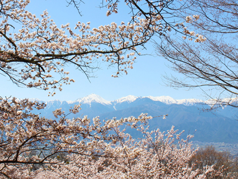 光城山