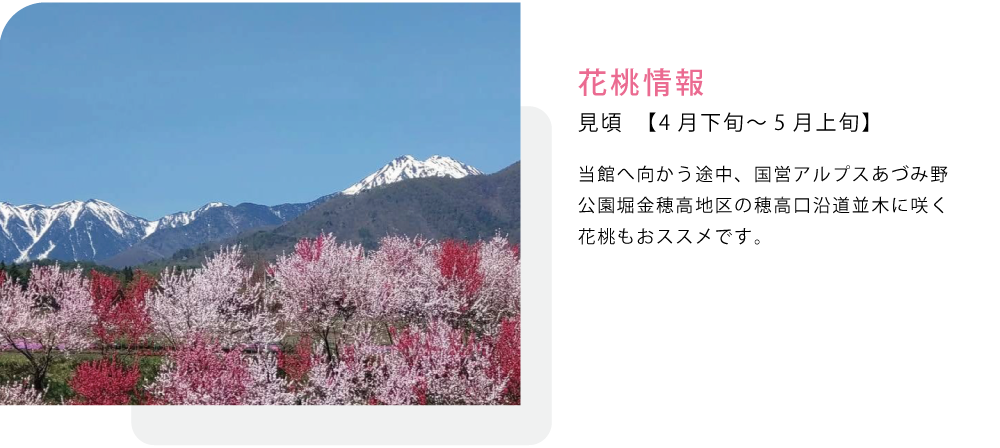 春色ロゼワイン