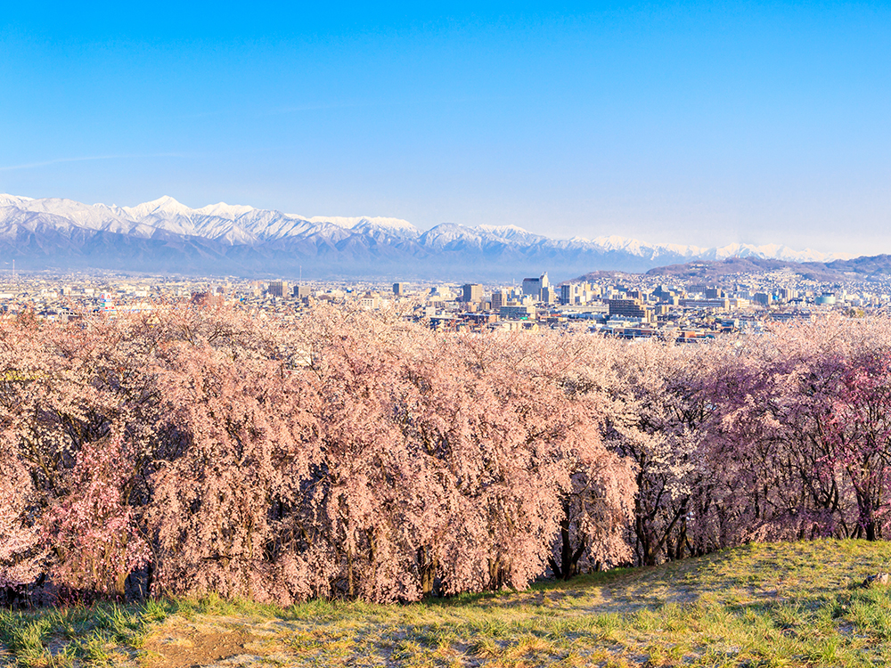 弘法山公園
