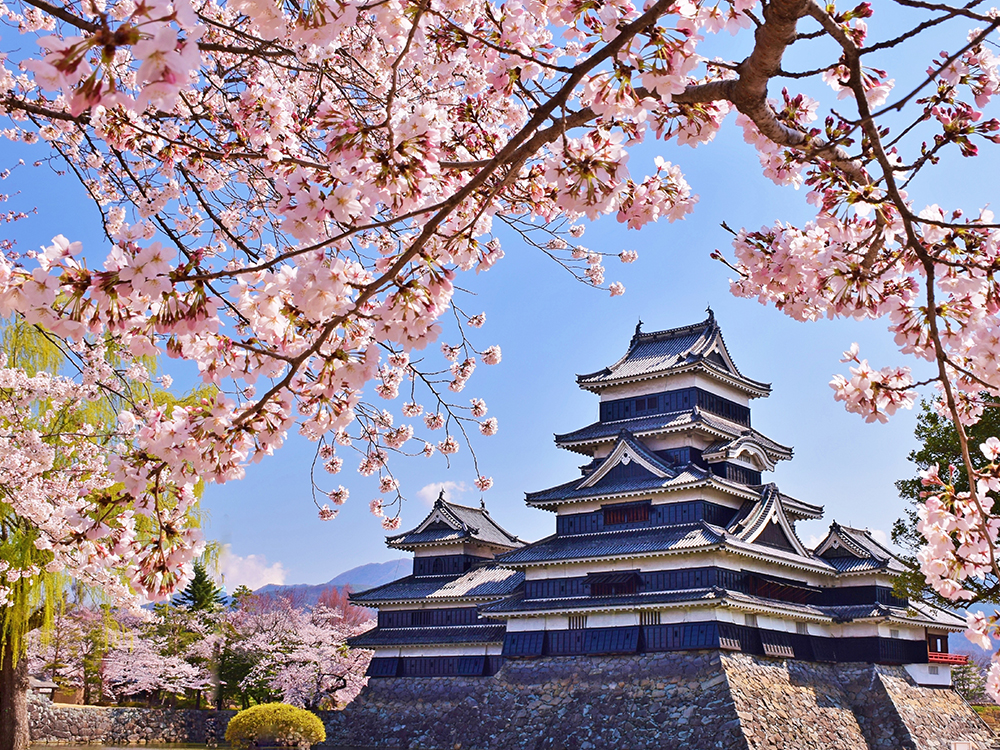 松本城