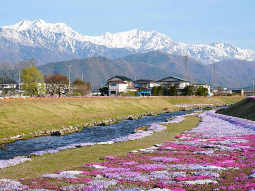農具川河川公園