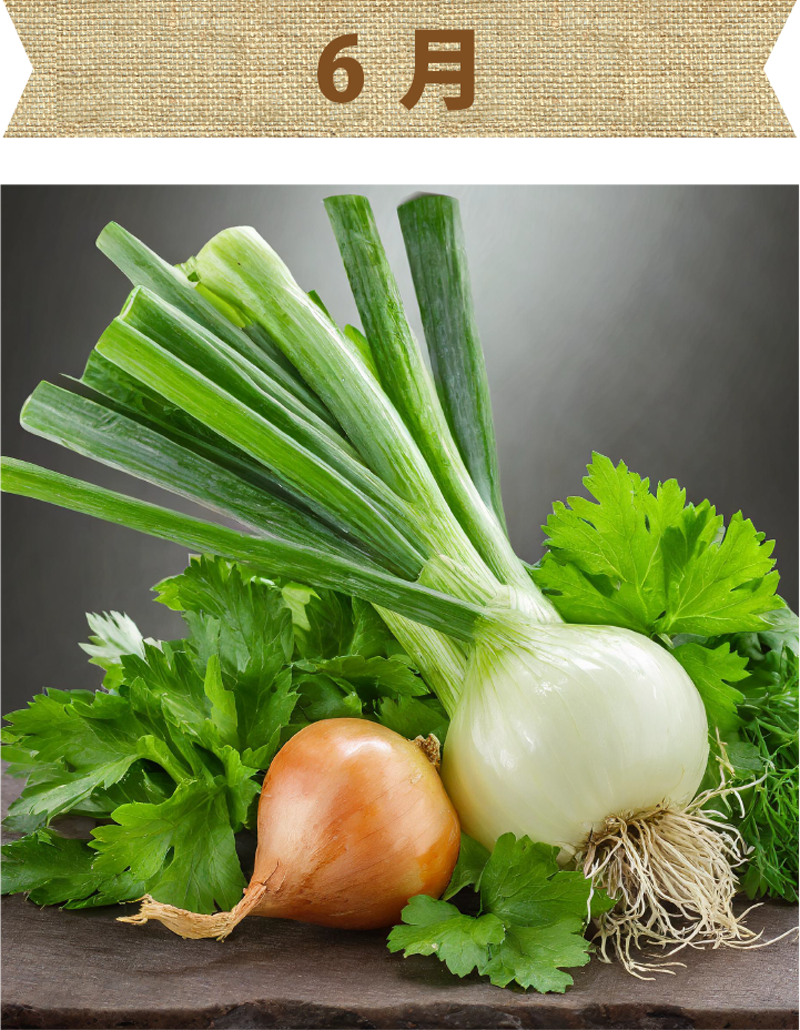 6月旬の野菜画像