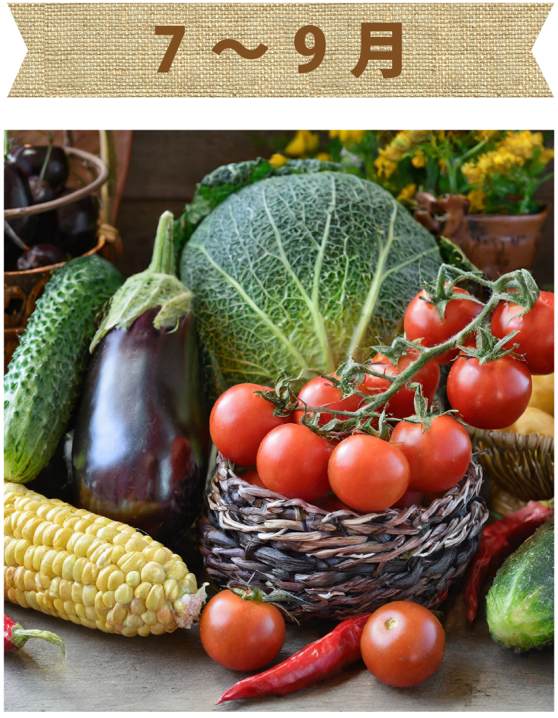 7～9月旬の野菜画像