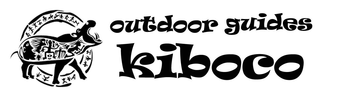 Kibocoのロゴ