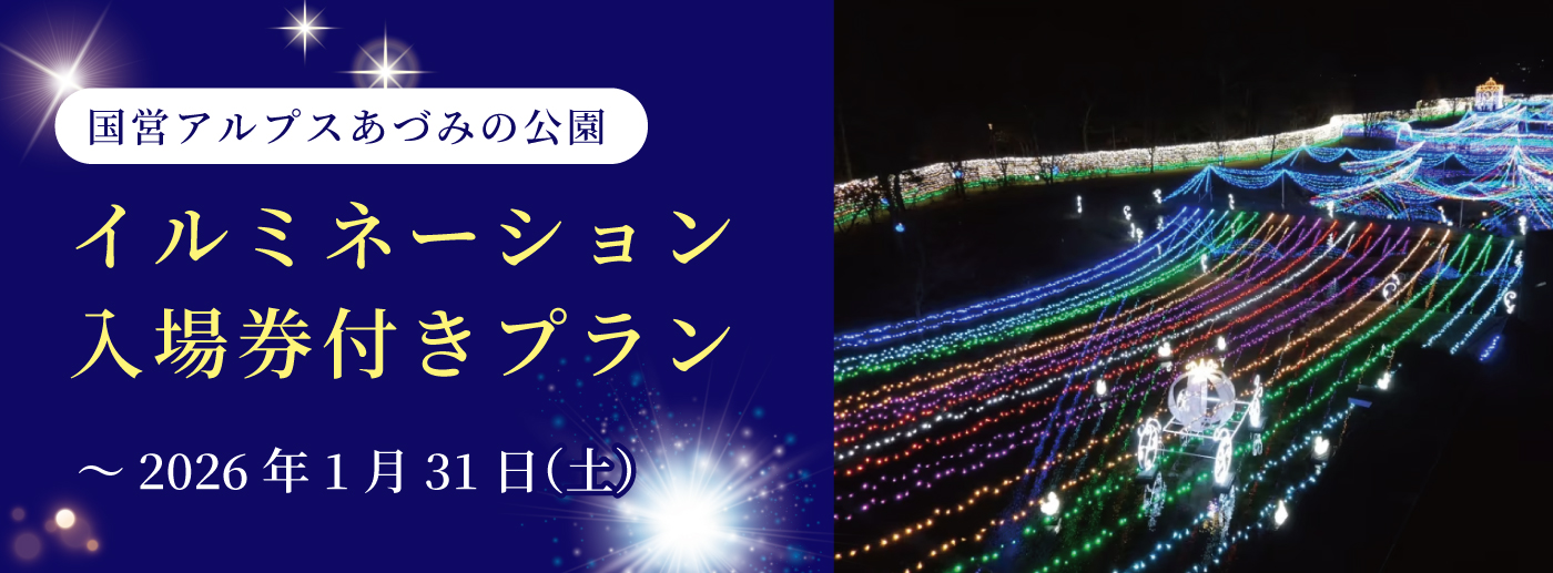 イルミネーション入場券付きプラン